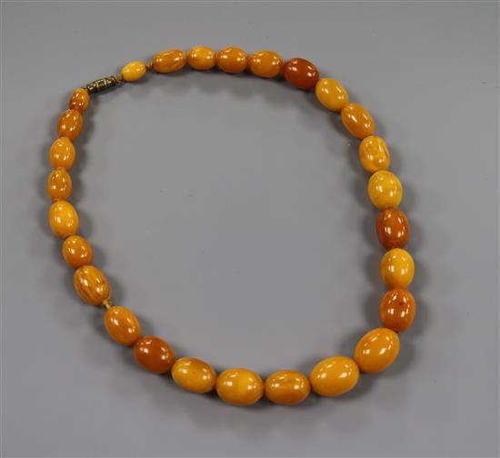 A single strand graduated amber bead necklace, gross weight 31 grams, 41.5cm.